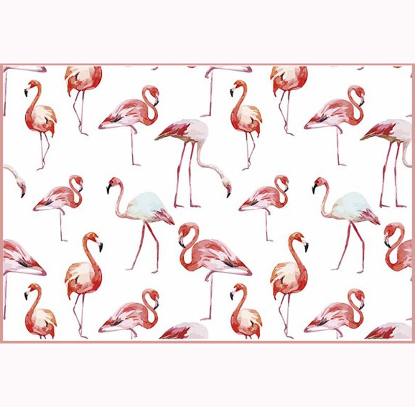 Set de 6 Individuales / Flamingo