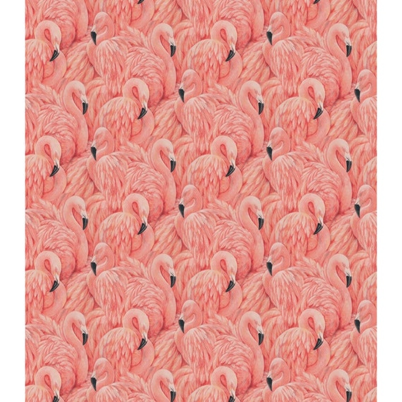 Papel Mural / Pink Flamingo