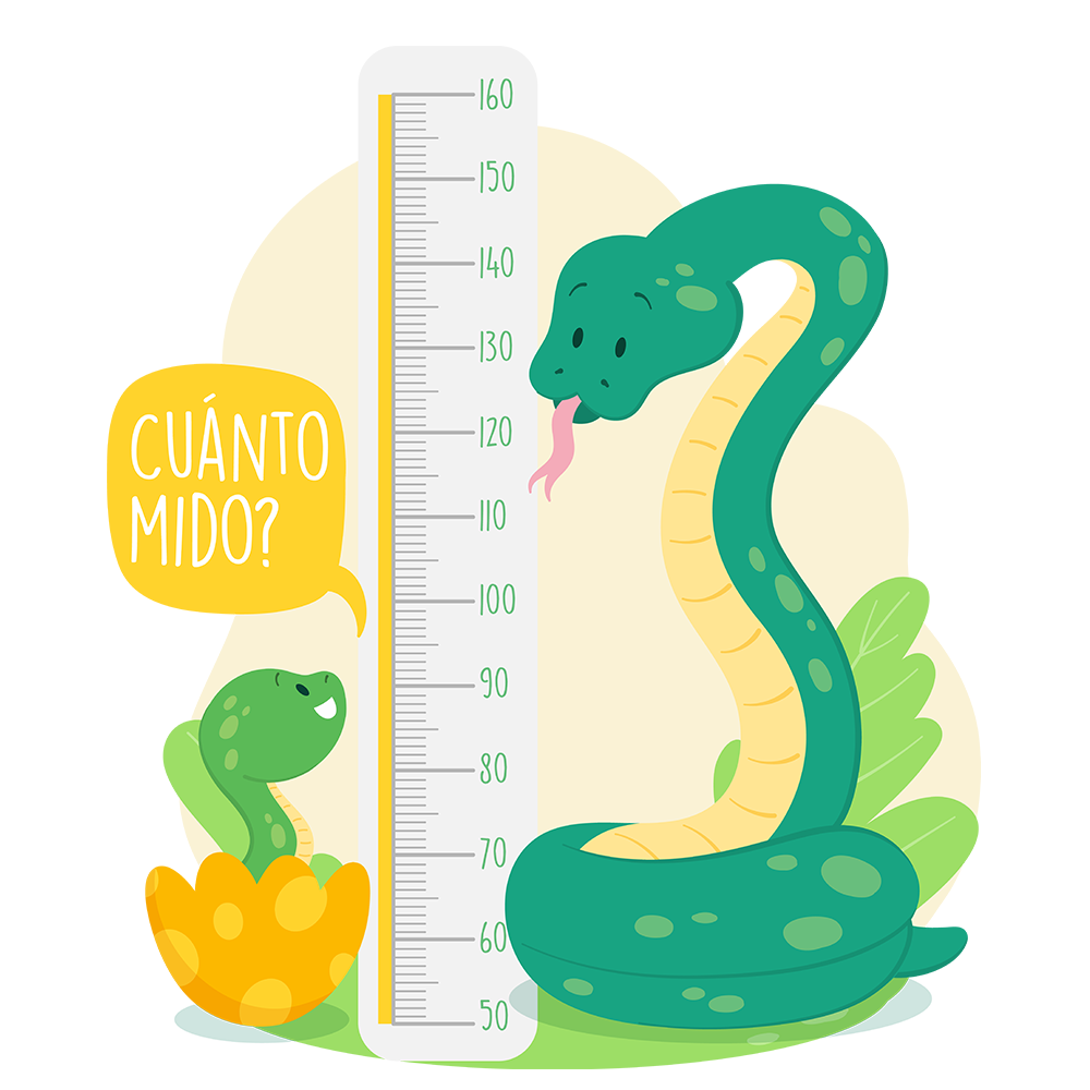 Medidor de Altura Adhesivo / Cuánto mido? Snake
